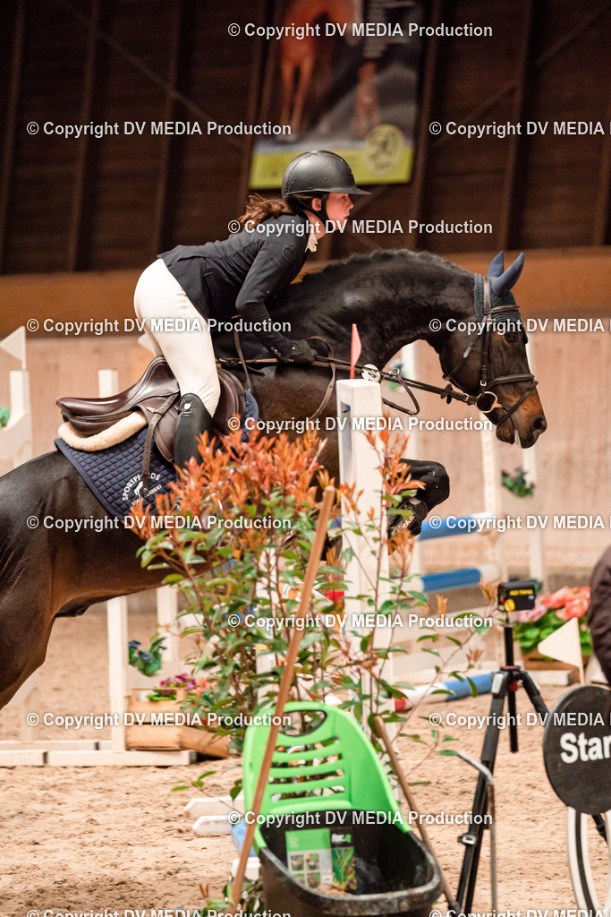 Springen Tag 1-213 | dv-media-shop - Realisiert mit Pictrs.com