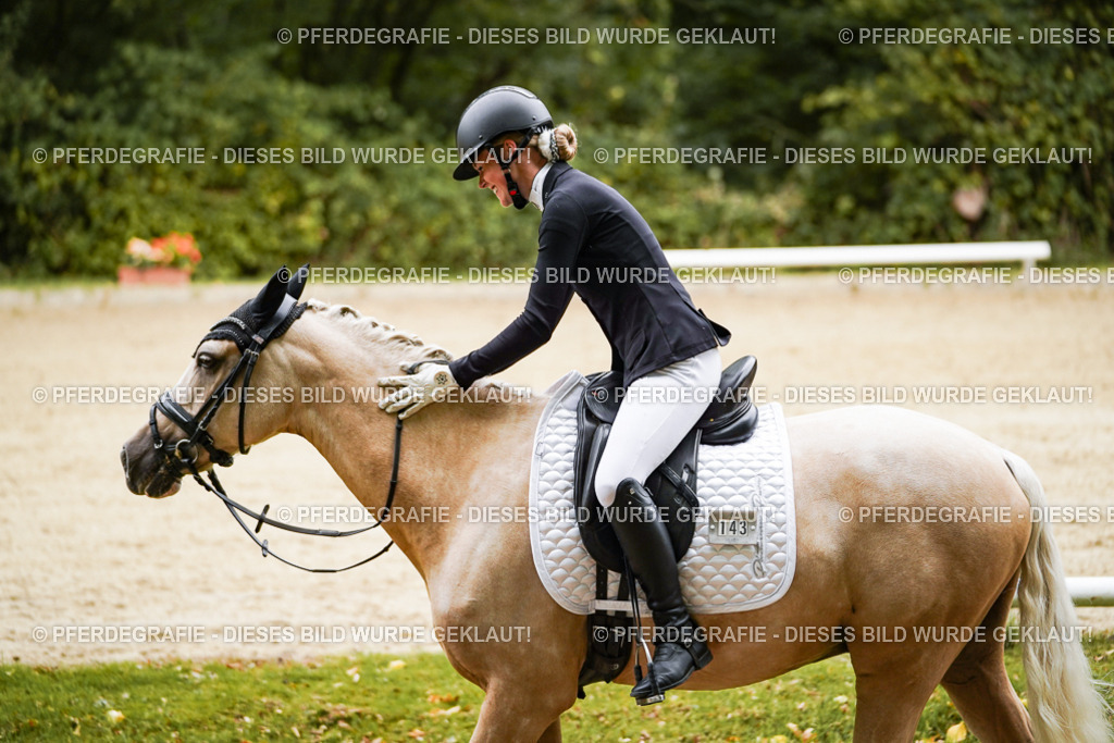 DSC08771 | Pferdegrafie