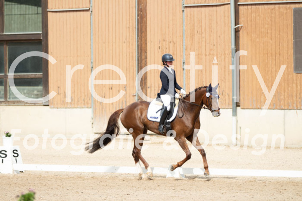 IMG_1641 | Creatify Fotografie