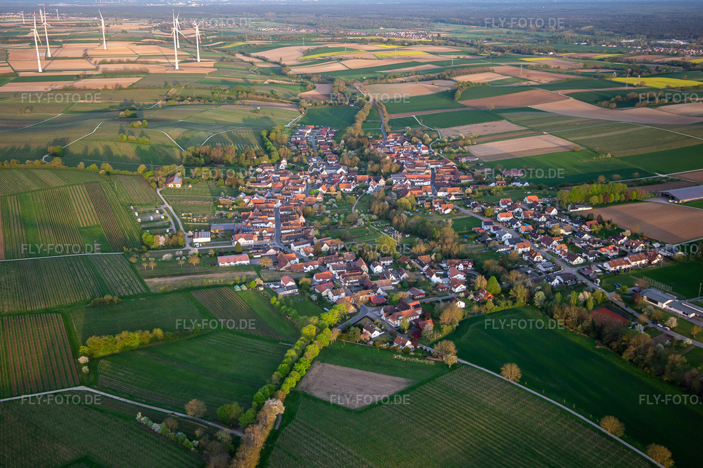 Luftbild: Ortsansicht von Nordwesten in Dierbach im Bundesland Rheinland-Pfalz in Deutschland. Foto: IMG_140257.jpg vom 11.04.2024 durch Werner Riehm/FLY-FOTO.de