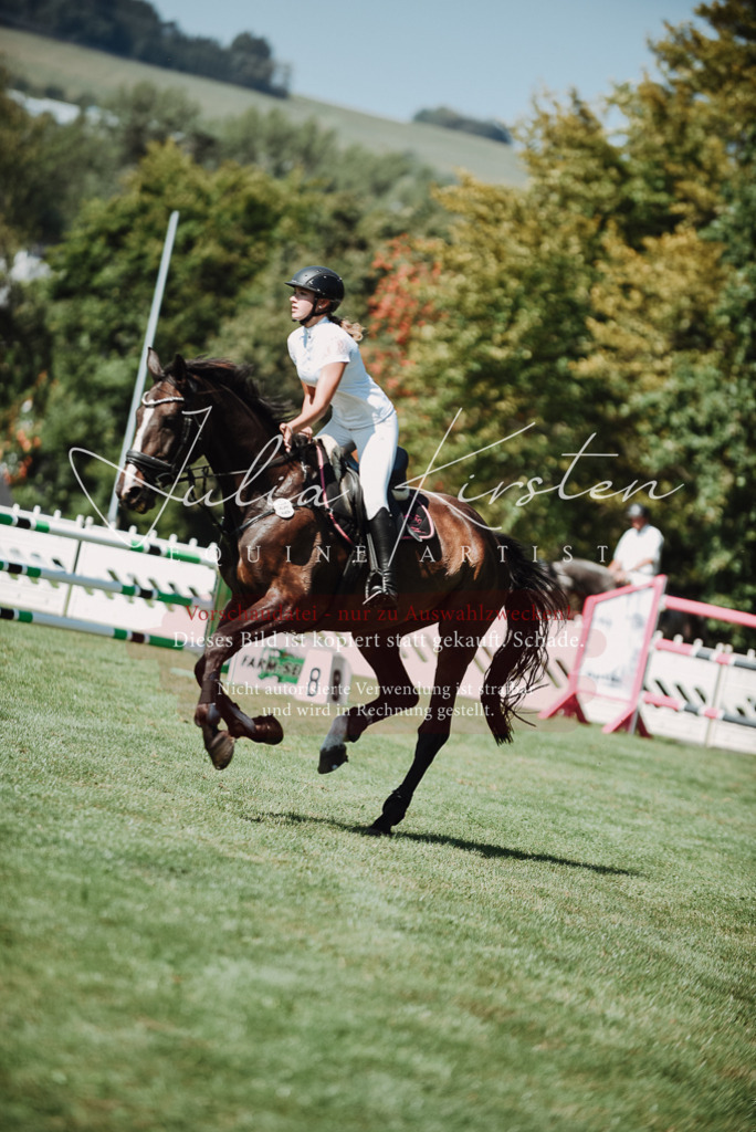 DSC_3143 | Pferde- und Turnierfotografie in Westsachsen. Pferdeportraits, Auftragszeichnungen und intuitive Kunst.