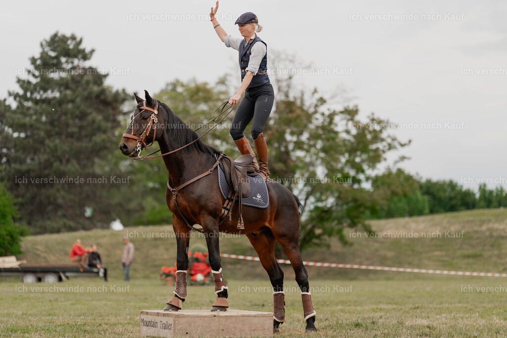 Showprogramm-461 | working equitationturnier fotograf videograf stoibphotography marixx film working equitation deutschland reitsport turnierfotografie eventfotografie equestrian events