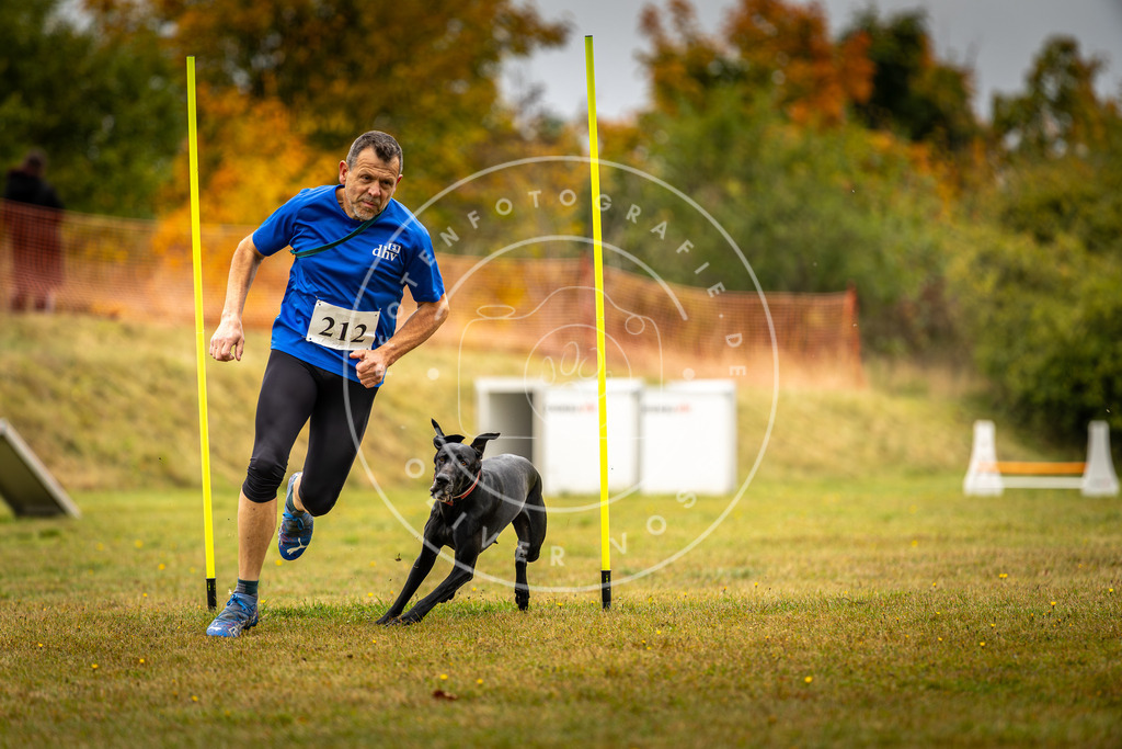 Pfotenfotografie_DV3A2424 | Hundefotografie, Tierfotograf, Pfotenfotografie, Fotoshooting Hund, Hunde Portrait, Hundesport, Hundeportraits, Heideshooting, Hunde, Sportfotograf, Hundefotograf, Turnierhundsport, THS,  - Realisiert mit Pictrs.com