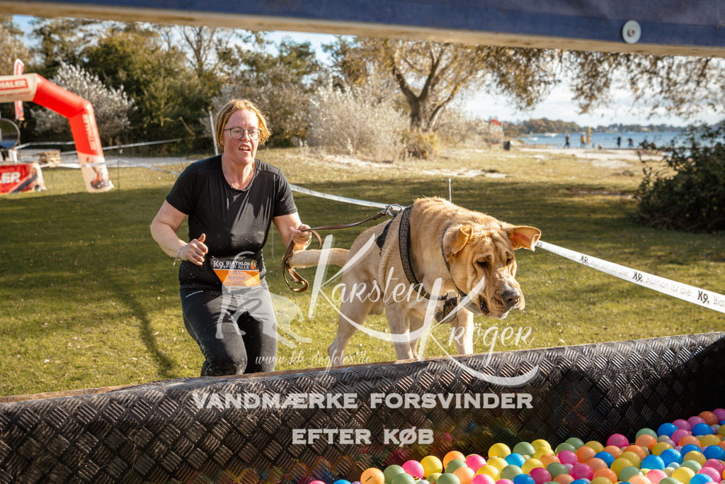 1457_ZZ95433-2 | kk-dogfotos