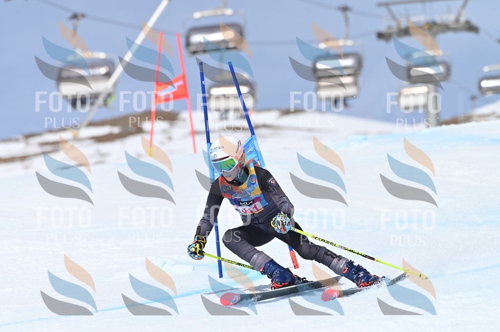 BGV_3469 | holidayphoto