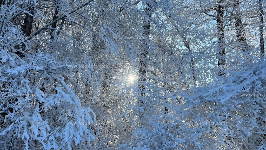 IMG_E6777 | www.foto-fritz.com - Realisiert mit Pictrs.com