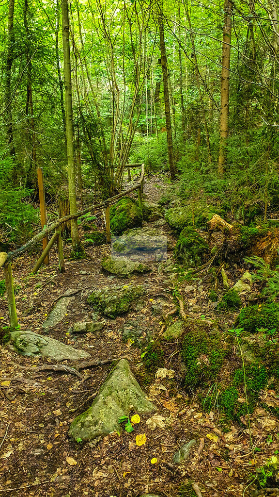 Höllental Sommer | Impressionen rund um Hochfranken - Frankenwald - Fichtelgebirge - Realisiert mit Pictrs.com