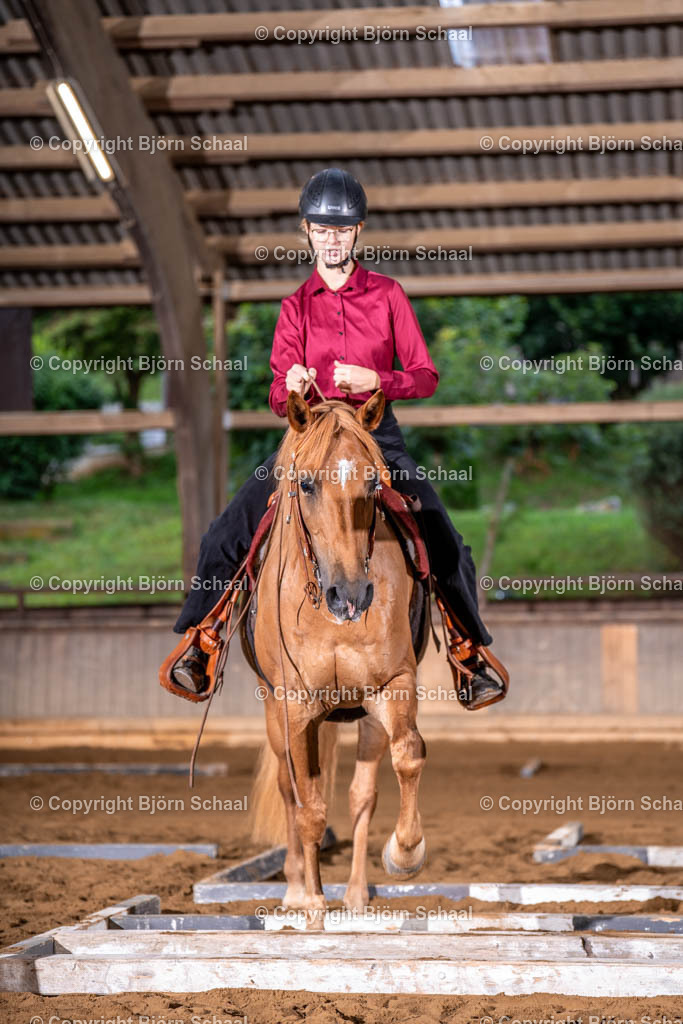 LMB04937 | BS-foto