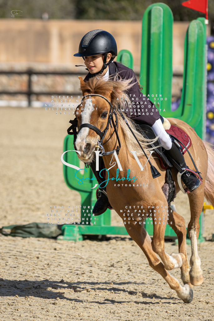 IMG_6043 | s-jay-photography - Realisiert mit Pictrs.com