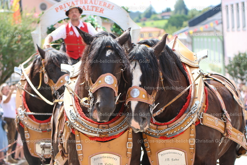 IMG_0711 | fotos-sportlich-belichtet - Realisiert mit Pictrs.com