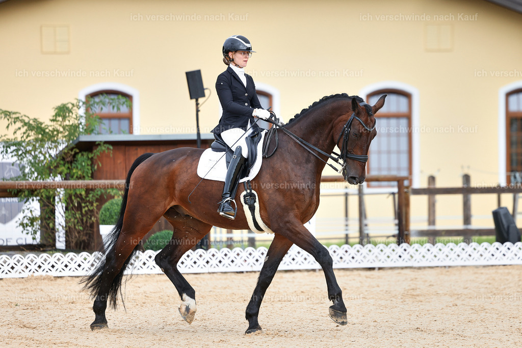 05-022-DRESSUR M_  -StoibPH-4909 | working equitationturnier fotograf videograf stoibphotography marixx film working equitation deutschland reitsport turnierfotografie eventfotografie equestrian events