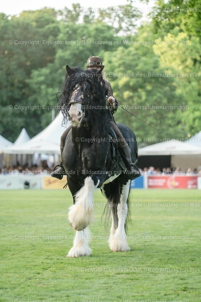 20230526_Pferdenacht_0310 | equistock