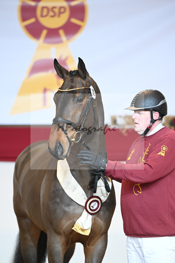Kat-Nr. 32 Tangelo v d Zuuthoeve_Schlamminger GmbH_1231852 | hf-fotografie - Realisiert mit Pictrs.com