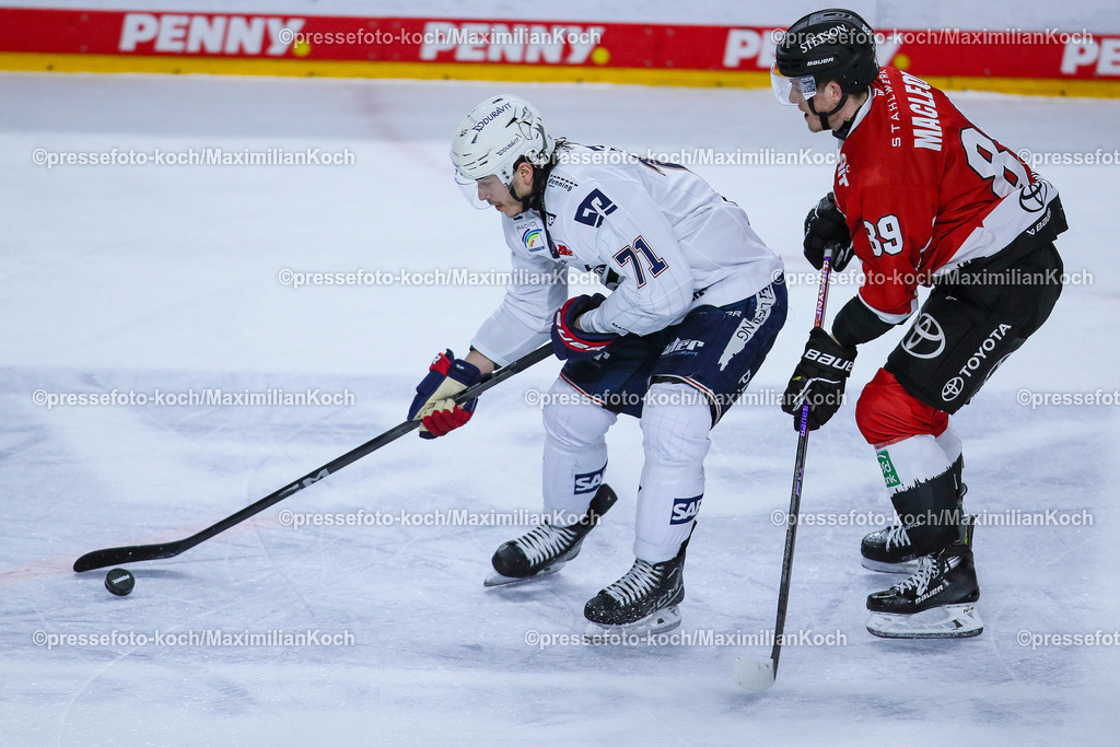 KoeDEL08032401060 | 08.03.2024, Köln, Eishockey, Penny DEL, 52. Spieltag, Lanxess-Arena, Kölner Haie - Adler Mannheim: Daniel Fischbuch (Adler Mannheim) behauptet sich gegen Gregor MacLeod (Kölner Haie)
