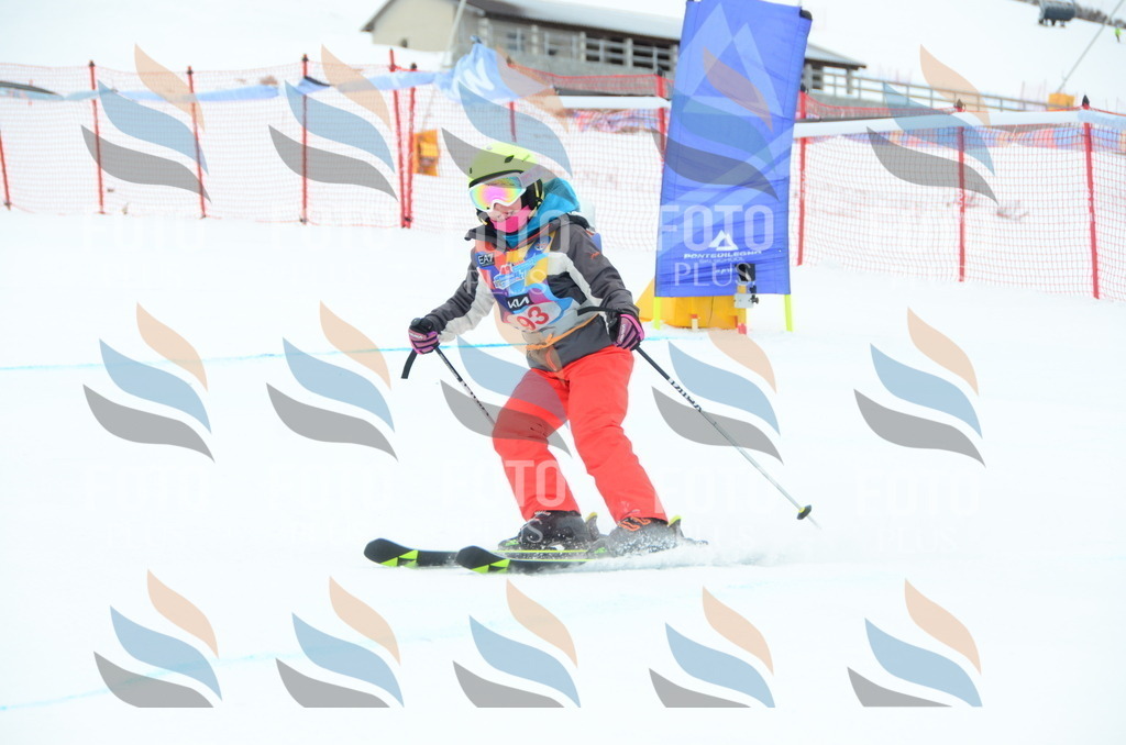 DSC_1175 | holidayphoto