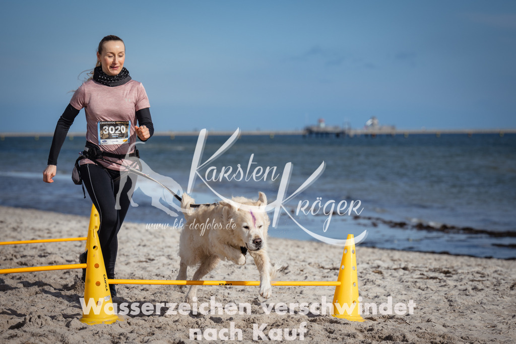 1345_ZZ93152 | kk-dogfotos