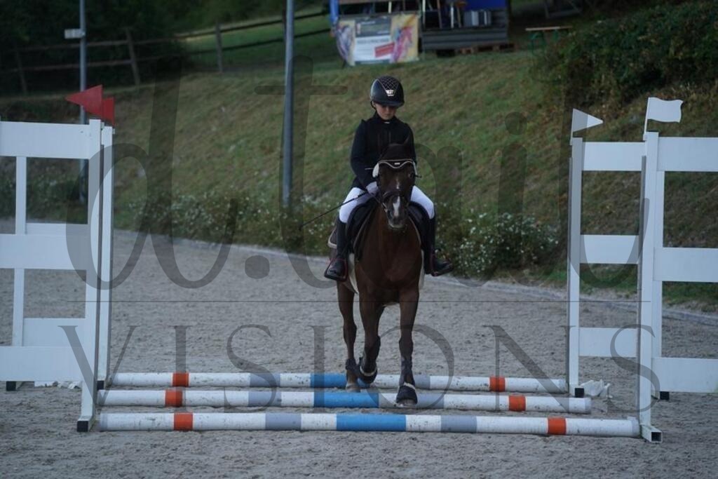 tgbhsonntag (109) | d.tail Visions - Shop - Realisiert mit Pictrs.com