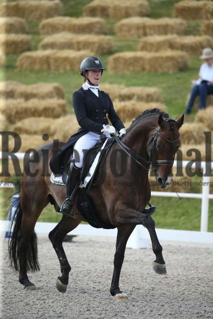 Birkhof_2022_GrandPrixSpecial_Nicole Isser_DiCaprio 4 (1) | Alle Fotos der Reiterjournal Fotografin Doris Matthaes im Reiterjournal Online-Fotoshop. - Realisiert mit Pictrs.com