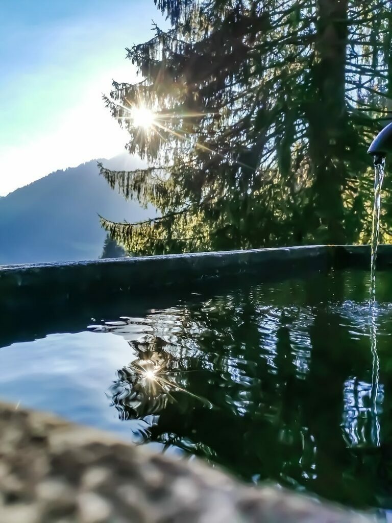 PSX_20211023_223352 | mtkfoto_ - Realisiert mit Pictrs.com