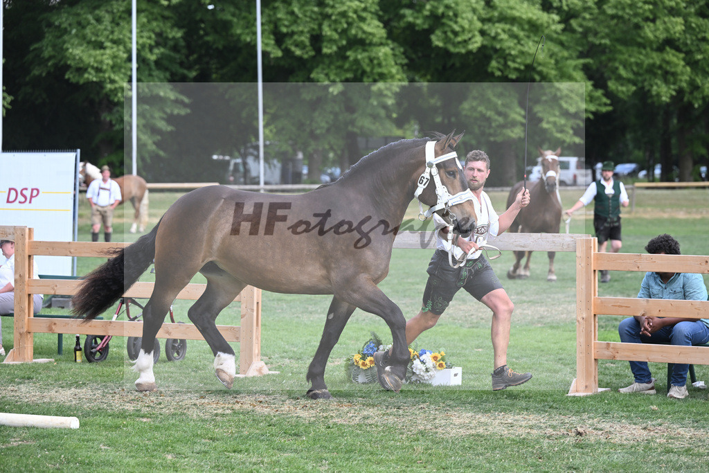 Kat-Nr. 67 Thea_Egger_20231098 | hf-fotografie - Realisiert mit Pictrs.com