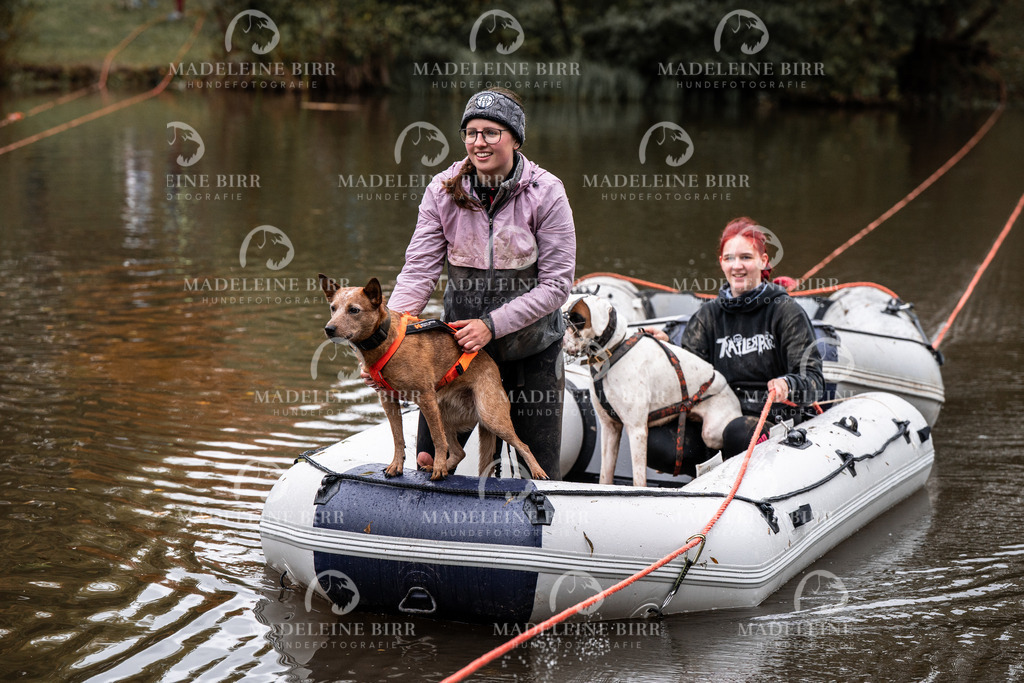 madeleinebirr-fotografie2025.campcanis.Startbis9Uhr-149 | hundefotografie-birr