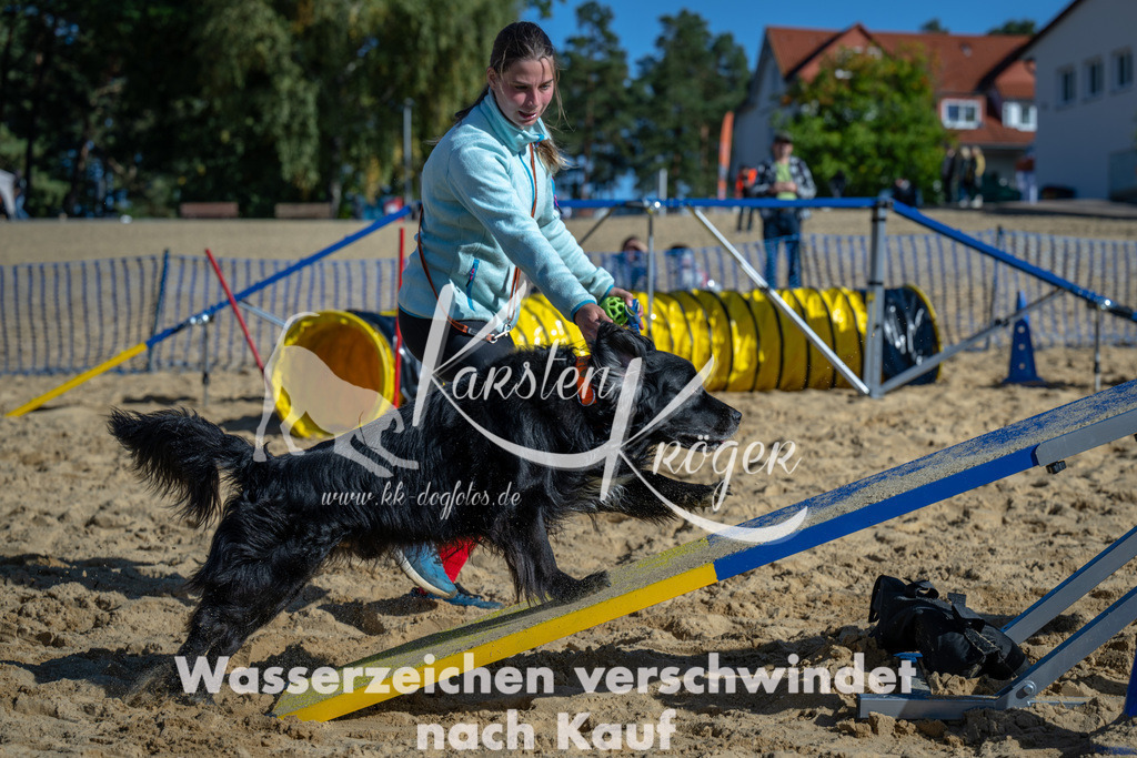 1131_ZZ91412 | kk-dogfotos