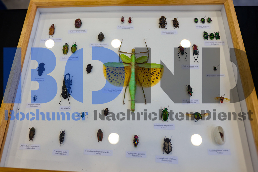 SES_INSBOC20250316-16 | bond - Realisiert mit Pictrs.com