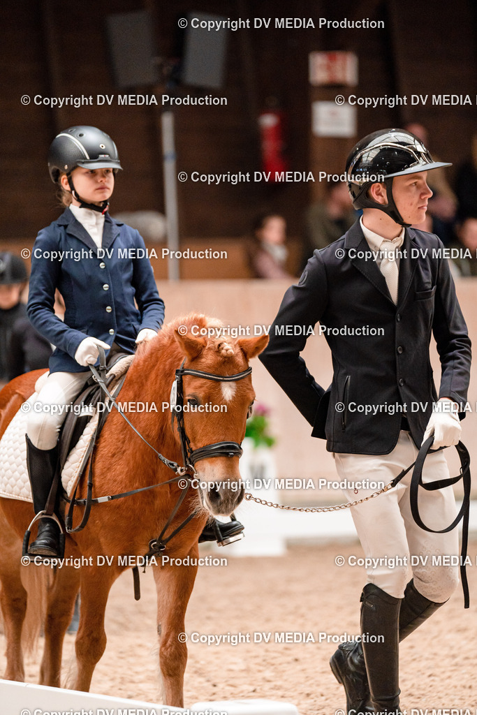 Dressur Tag 3-522 | dv-media-shop - Realisiert mit Pictrs.com