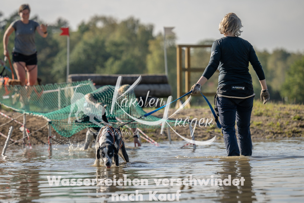 1419_ZZ92247 | kk-dogfotos