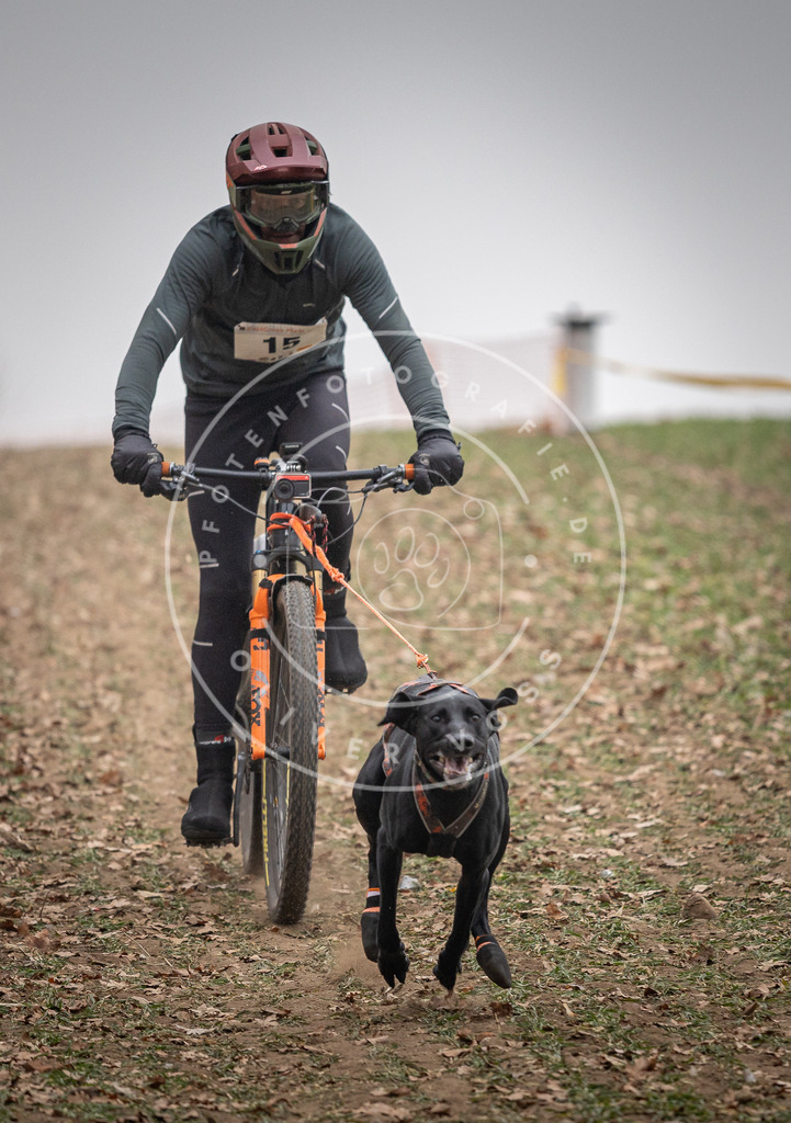Pfotenfotografie_DV3A2393 | Hundefotografie, Tierfotograf, Pfotenfotografie, Fotoshooting Hund, Hunde Portrait, Hundesport, Hundeportraits, Heideshooting, Hunde, Sportfotograf, Hundefotograf, Turnierhundsport, THS,  - Realisiert mit Pictrs.com