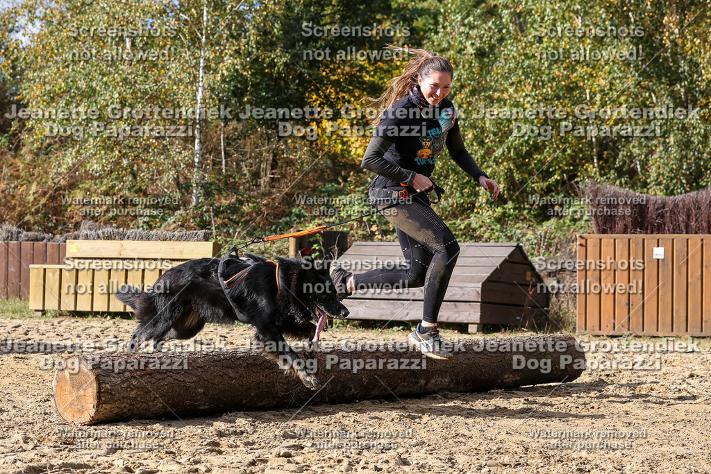 Dog Paparazzi - Strongdog 10-25-5156 | Dog Paparazzi Jeanette Grottendiek Fotografie & Videografie - Realisiert mit Pictrs.com