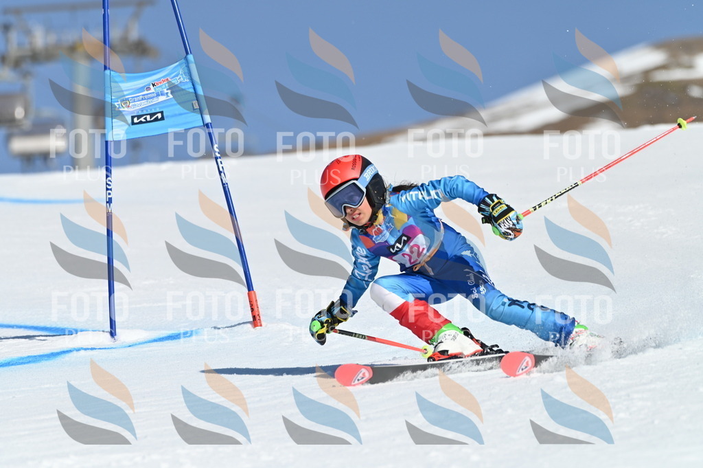 BGV_7982 | holidayphoto