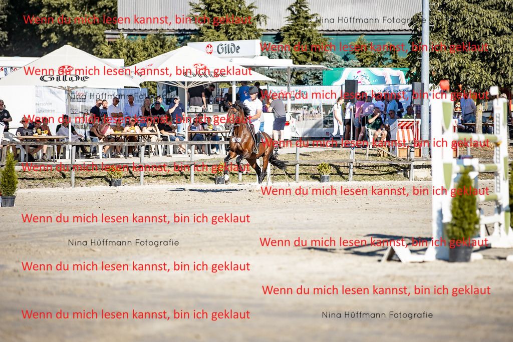 BK1A8240 | Turnierbilder Turnierfotos Nina Hüffmann Turnierfotografie Pferdefotografie Tierzeichnung Haustierzeichnung Pferdezeichnung Hundezeichnung Videograf  - Realisiert mit Pictrs.com