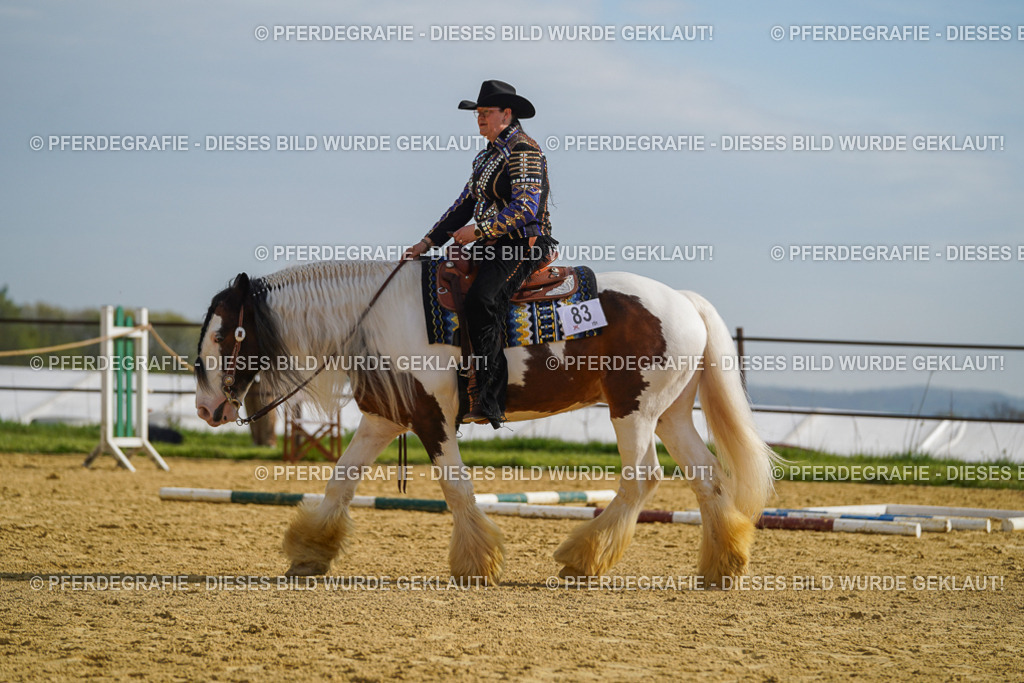 DSC01669 | Pferdegrafie