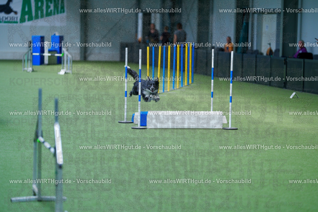 @allesWIRTHgut_Tierfotografie - www.allesWIRTHgut.de - 2604261356-7R502998 | Professionelle Tierfotografie in Mönchengladbach von Daniel Wirth (allesWIRTHgut). Liebevolle & natürliche Bilder von Hunden & Katzen für unvergessliche Erinnerungen.