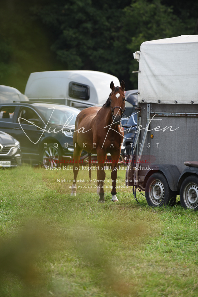 DSC_8612 | Pferde- und Turnierfotografie in Westsachsen. Pferdeportraits, Auftragszeichnungen und intuitive Kunst.