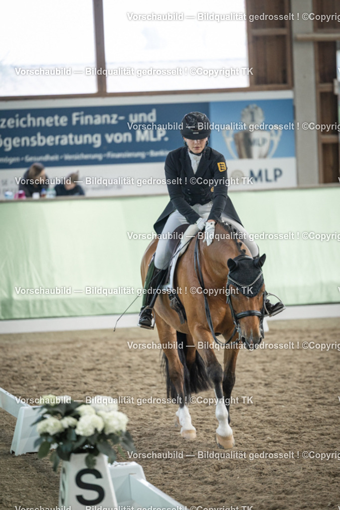 _D5A5982 | Emotionale Pferde- & People-Fotografie rund um Heidelberg, Leimen & Umgebung. Natürliche Fotos von Pferd, Mensch & Familie. Jetzt Termin sichern!