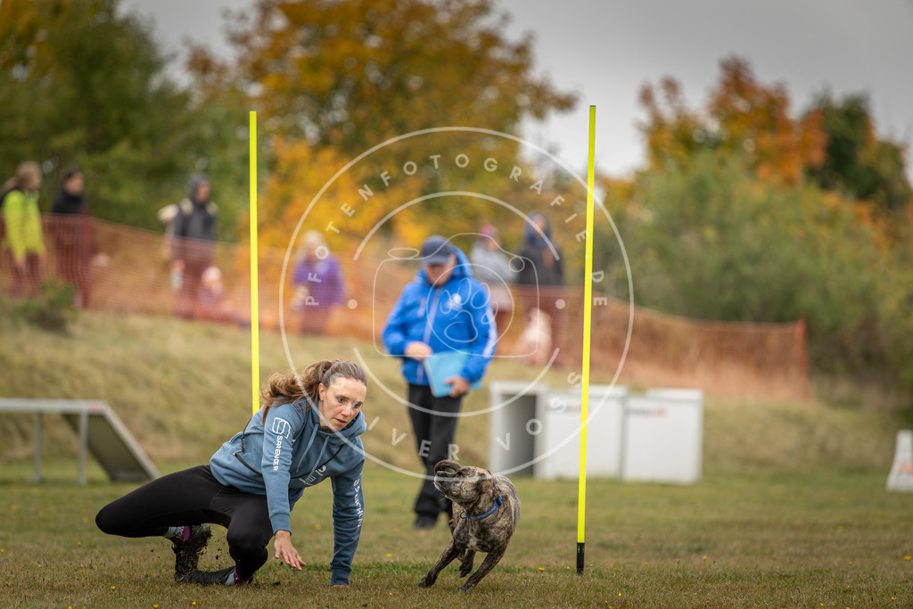 Pfotenfotografie_DV3A3486 | Hundefotografie, Tierfotograf, Pfotenfotografie, Fotoshooting Hund, Hunde Portrait, Hundesport, Hundeportraits, Heideshooting, Hunde, Sportfotograf, Hundefotograf, Turnierhundsport, THS,  - Realisiert mit Pictrs.com
