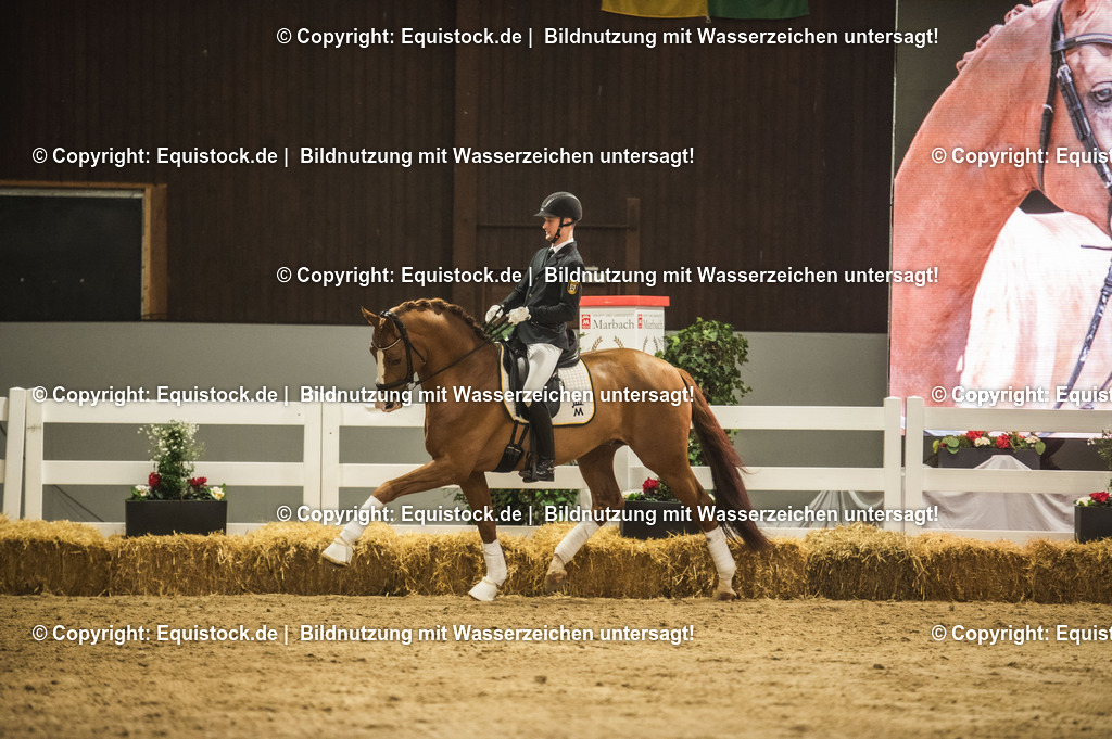 20240302_Hengstvorstellung_Marbach_TOMsPiC_0579 | equistock