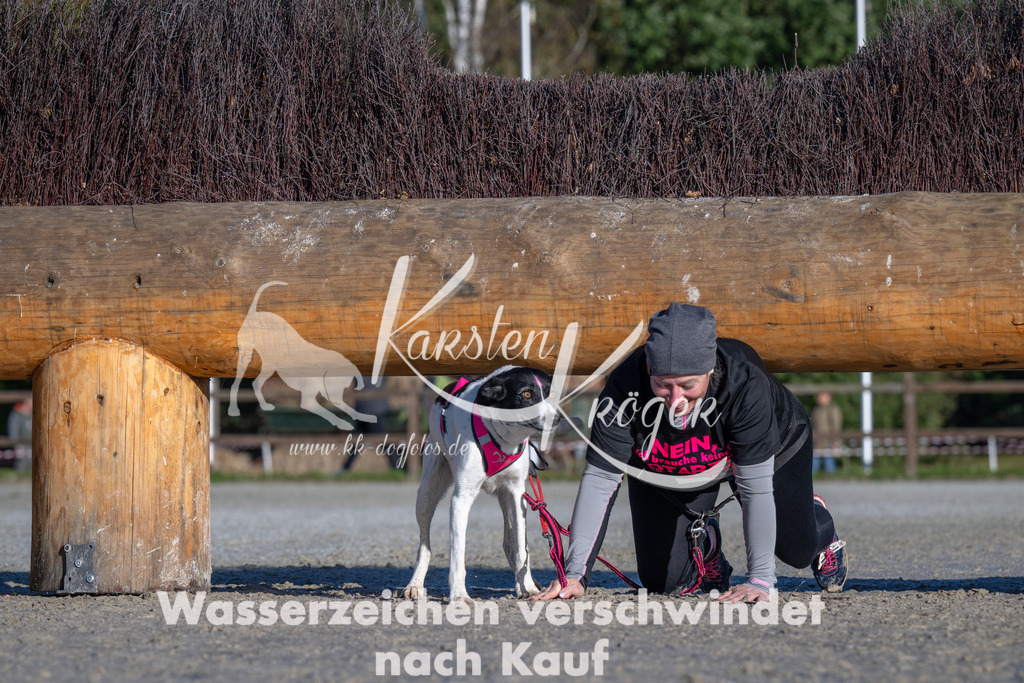 1038-_ZZ91923 | kk-dogfotos