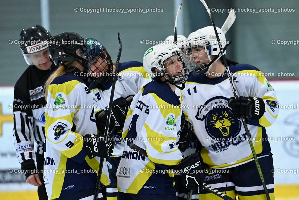 BST_6356 | hockey sports photos, Pressefotos, Sportfotos, hockey247, win 2day icehockeyleague, Handball Austria, Floorball Austria, ÖVV, Kärntner Eishockeyverband, KEHV, KFV, Kärntner Fussballverband, Österreichischer Volleyballverband, Alps Hockey League, ÖFB, 