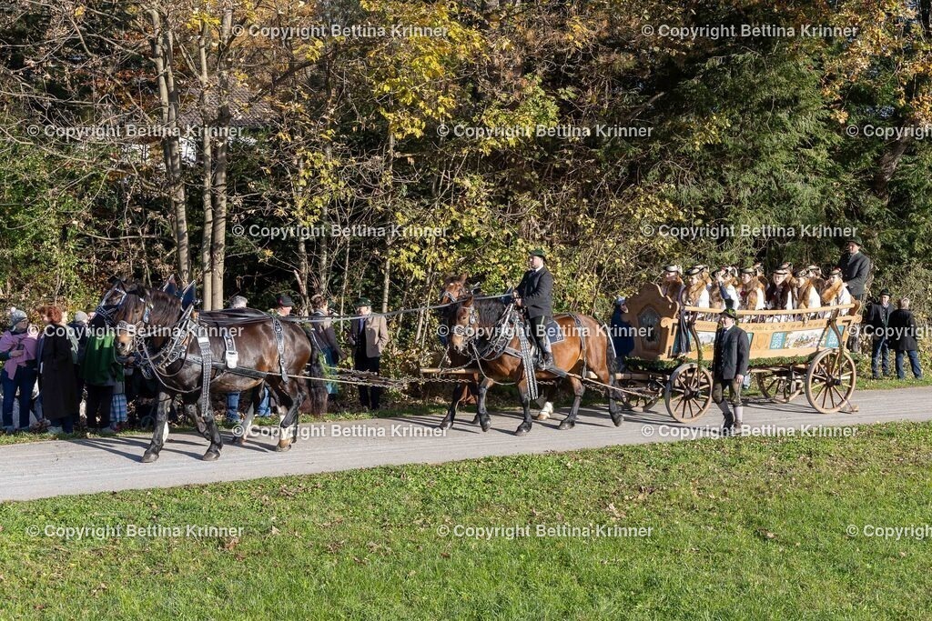LBT24-140 | foto-bettina-krinner - Realisiert mit Pictrs.com