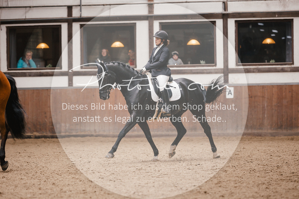 3I6A7441 | Stimmungsvolle Portraits und Reitsportfotografie im Ruhrgebiet und im Münsterland.

Pferdefotografie, Hundefotografie, Tierfotografie, Reportagen, Portraits von Tier und Mensch, Turnierfotografie in Bochum, Recklinghausen, Marl, Haltern am See, Dülmen.. - Realisiert mit Pictrs.com