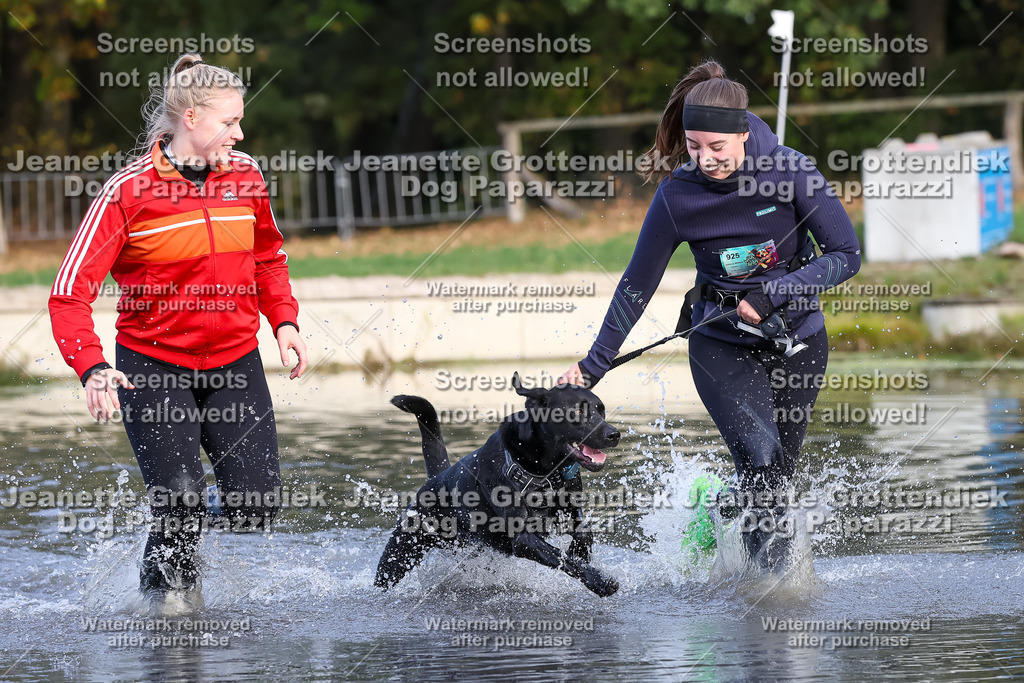 Dog Paparazzi - Strongdog 10-25-8275 | Dog Paparazzi Jeanette Grottendiek Fotografie & Videografie - Realisiert mit Pictrs.com