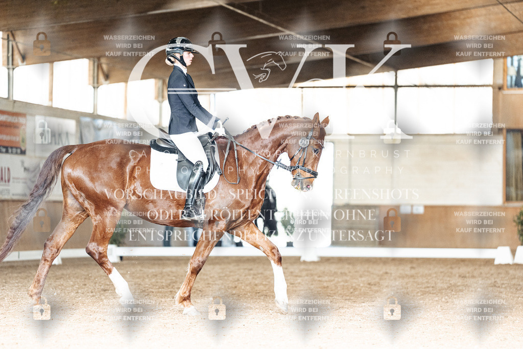 CK902387 | Turnierfotografie Pferdefotografie Trier Rheinland-Pfalz Pferdesport Reitsport Tierfotografie Sportfotografie Pferdevideo Pferdevideografie Equestrianvideography equestrianphotography  - Realisiert mit Pictrs.com