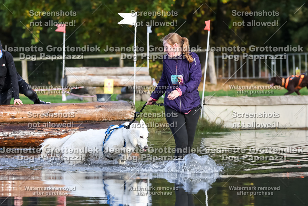 Dog Paparazzi - Strongdog 10-25-7036 | Dog Paparazzi Jeanette Grottendiek Fotografie & Videografie - Realisiert mit Pictrs.com