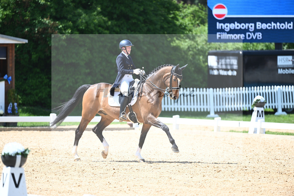 Bechtold_Fillmore DVB_12243861 | hf-fotografie - Realisiert mit Pictrs.com