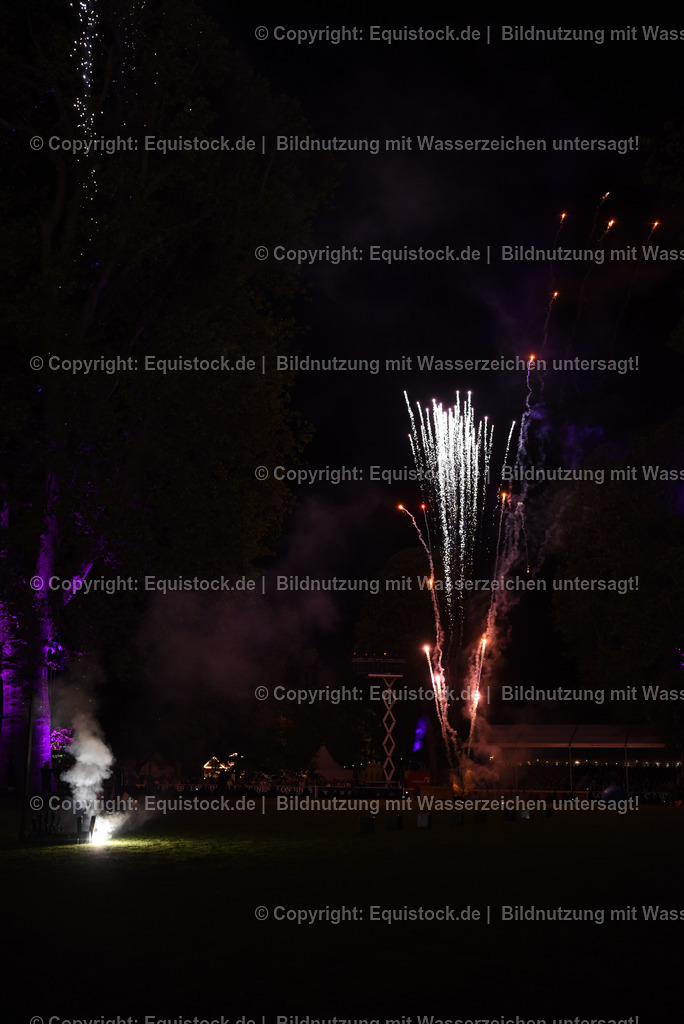 20230526_Pferdenacht_1591 | equistock