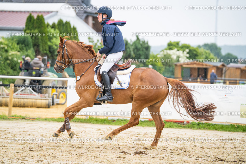 DSC00934 | Pferdegrafie