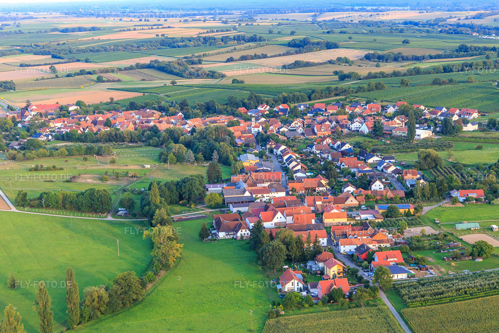 Luftbild: Oberdorfstr in Oberhausen im Bundesland Rheinland-Pfalz in Deutschland. Foto: IMG_103244.jpg vom 03.09.2017 durch Werner Riehm/FLY-FOTO.de
